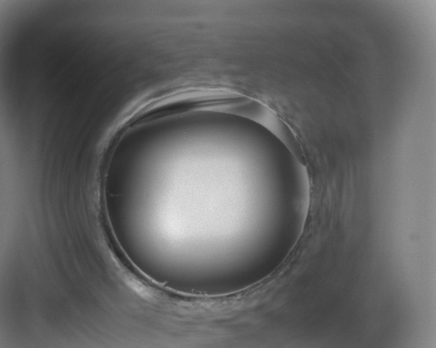 X0000083060005200702091516