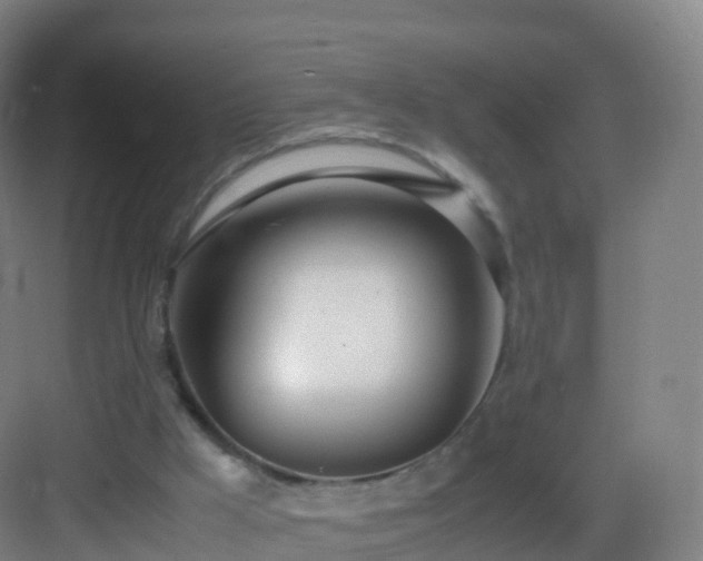 X0000083060009200702091516