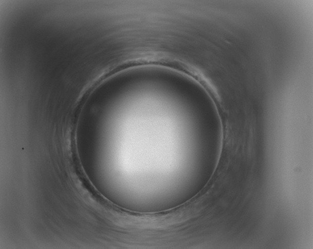 X0000083060010200702091516