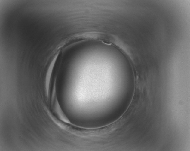 X0000083060013200702091516