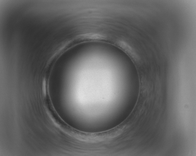 X0000083060014200702091516