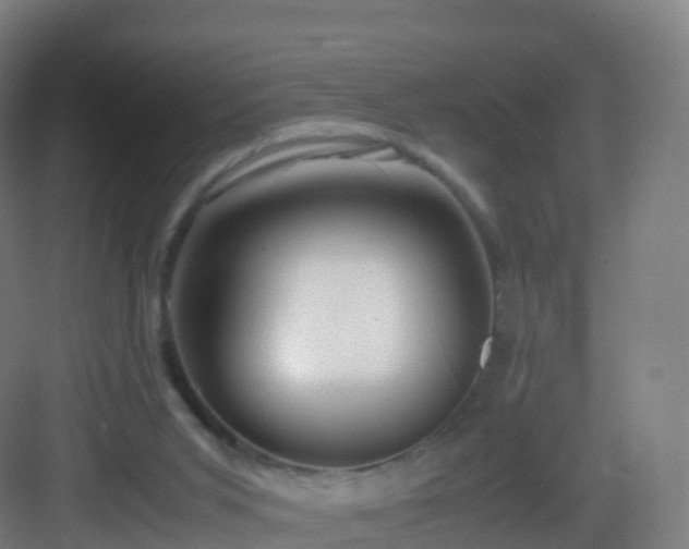 X0000083060015200702091516
