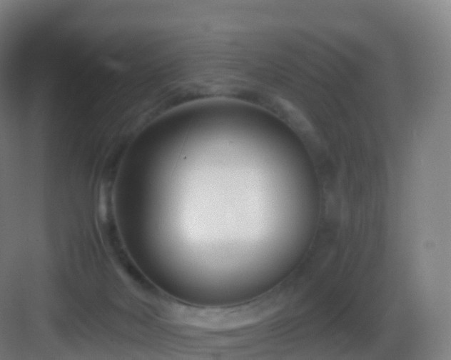 X0000083060026200702091516