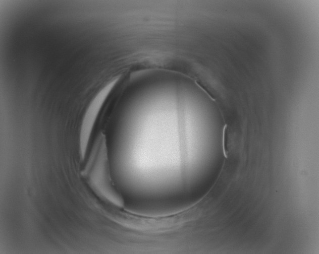 X0000083060027200702091516