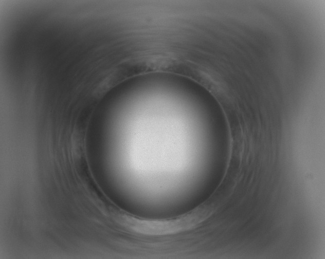 X0000083060034200702091516