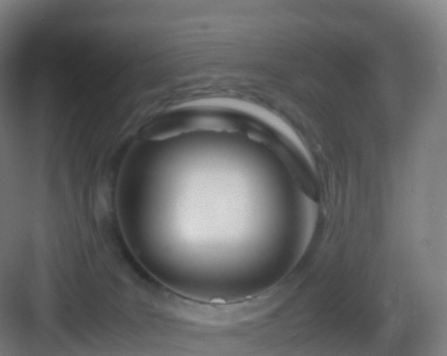 X0000083060035200702091516