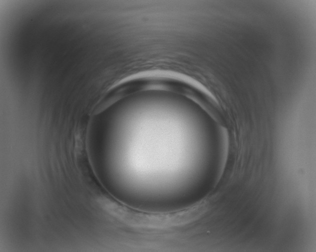 X0000083060037200702091516