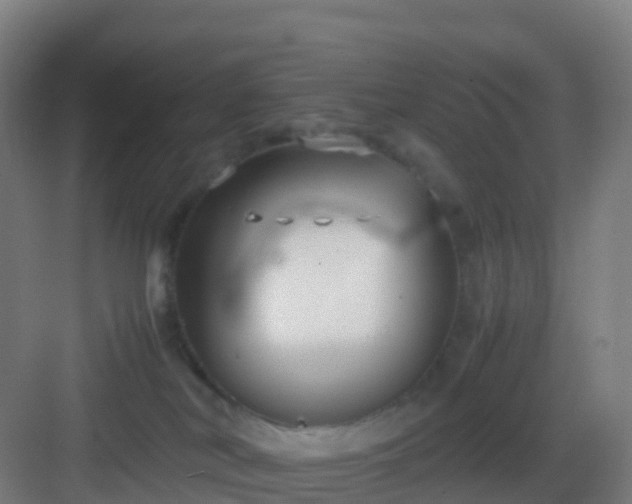 X0000083060038200702091516