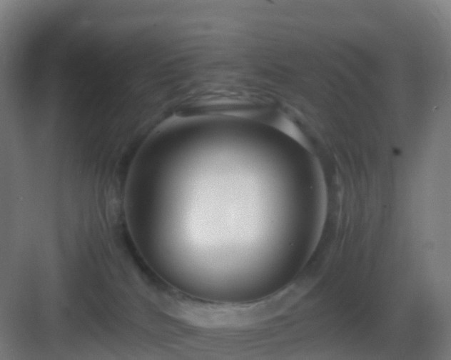 X0000083060040200702091516