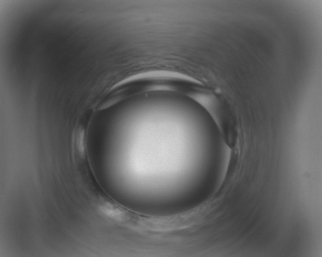 X0000083060041200702091516