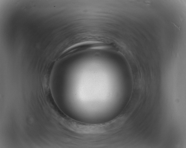 X0000083060044200702091516