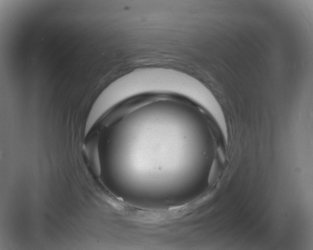 X0000083060045200702091516