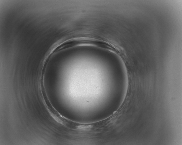 X0000083060051200702091515