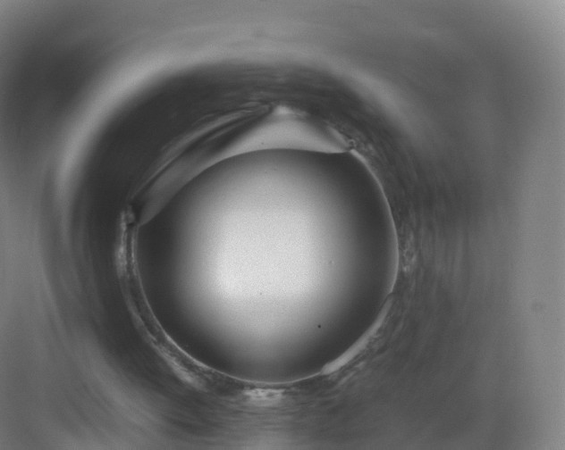 X0000083060052200702091515