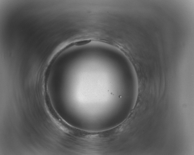 X0000083060054200702091515