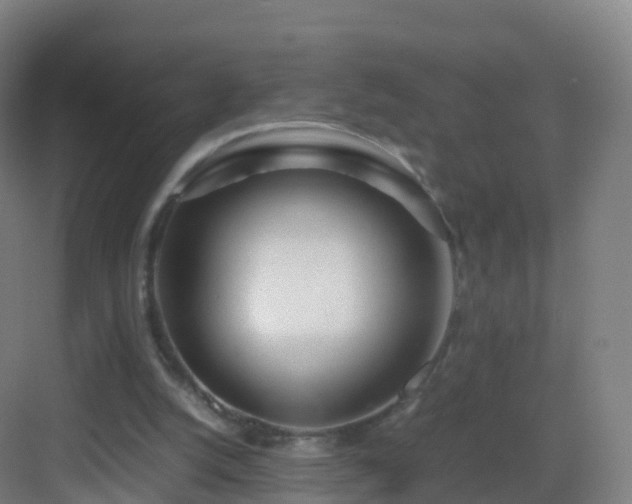 X0000083060056200702091515