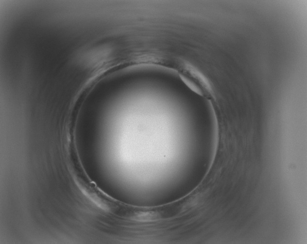 X0000083060059200702091515