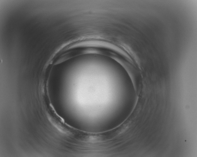 X0000083060060200702091515