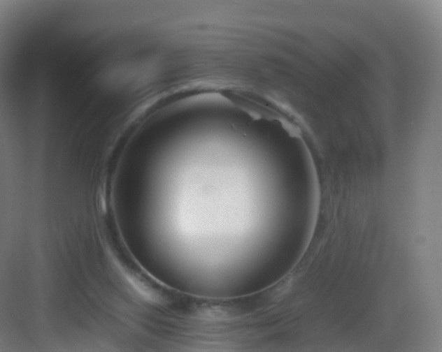 X0000083060062200702091515