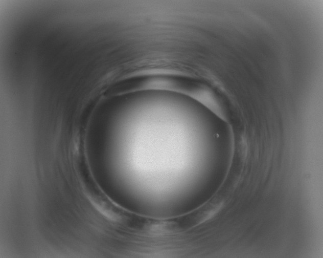 X0000083060072200702091515
