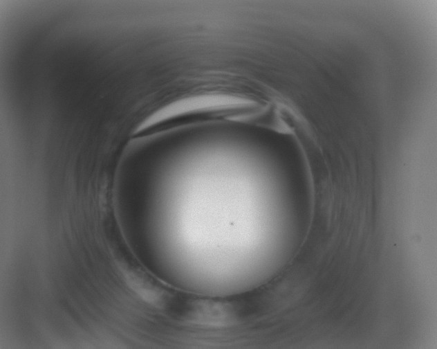 X0000083060073200702091515