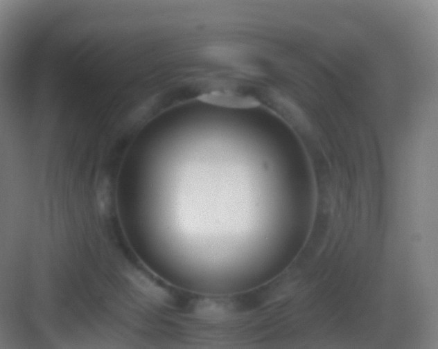 X0000083060077200702091515