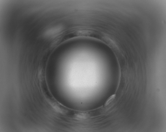 X0000083060079200702091515
