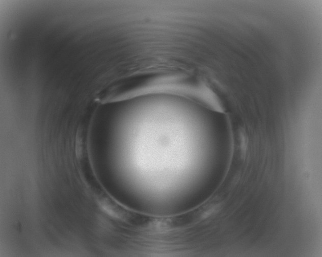 X0000083060080200702091515