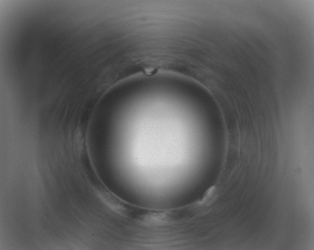 X0000083060086200702091515