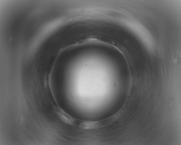 X0000083060093200702091515