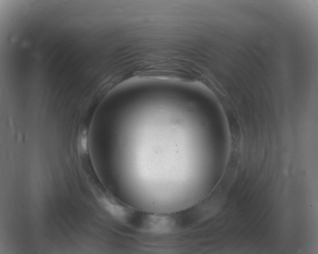 X0000083060095200702091516