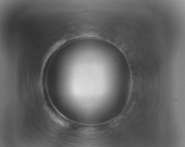 X0000083060104200702091515