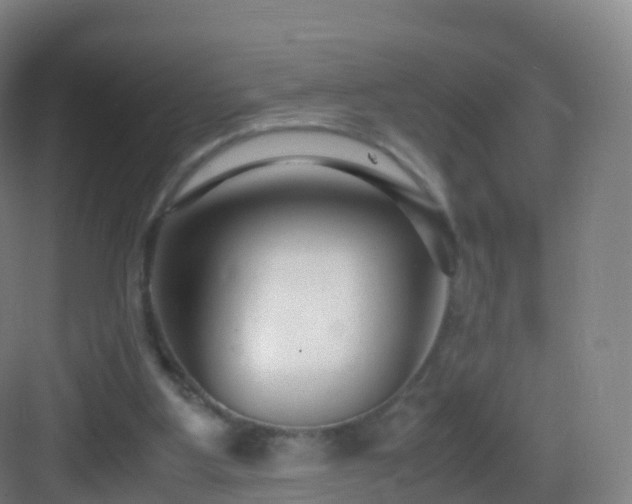 X0000083060107200702091515