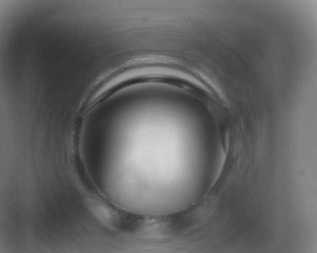 X0000083060111200702091514