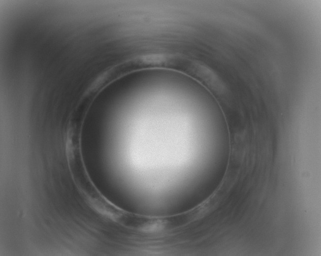 X0000083060116200702091514