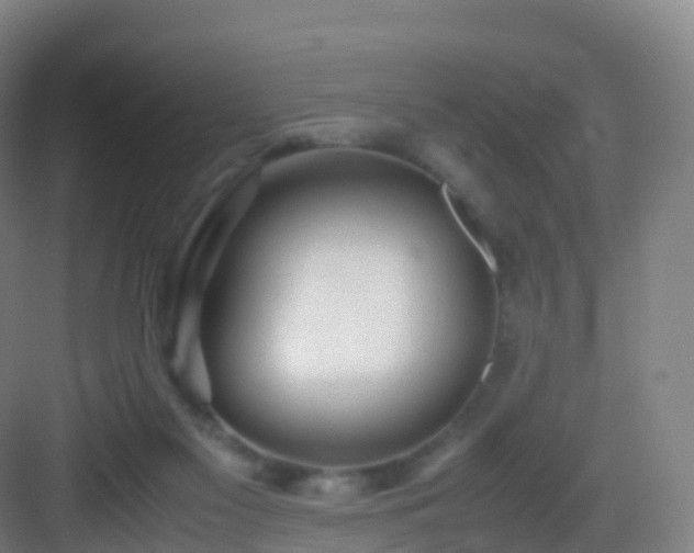 X0000083060117200702091514