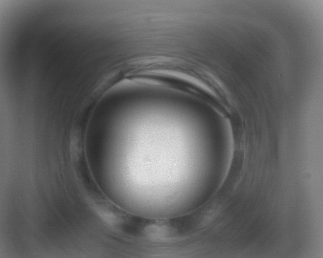X0000083060119200702091514
