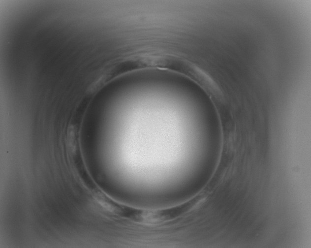 X0000083060121200702091514