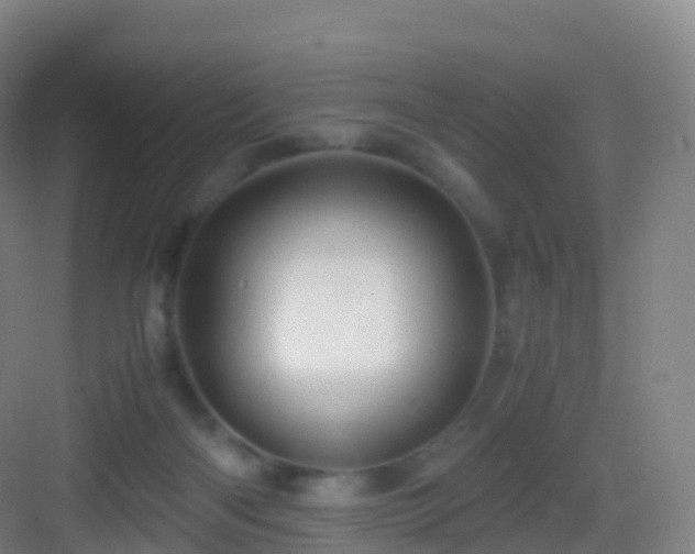 X0000083060122200702091514