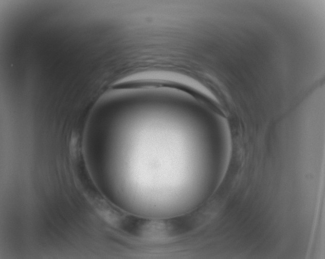 X0000083060123200702091514