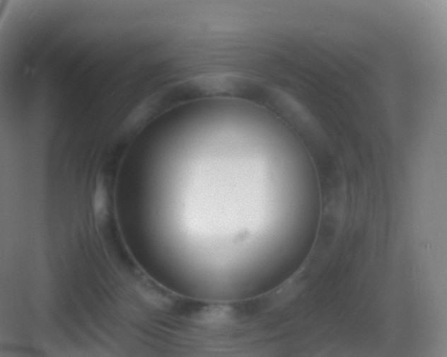 X0000083060124200702091514