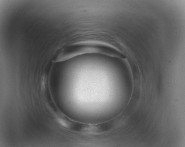X0000083060125200702091514