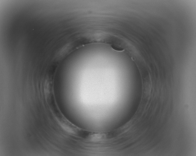 X0000083060126200702091514