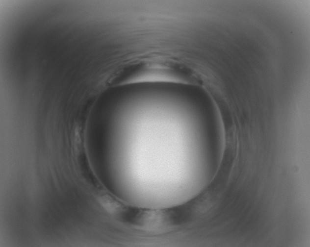 X0000083060127200702091514