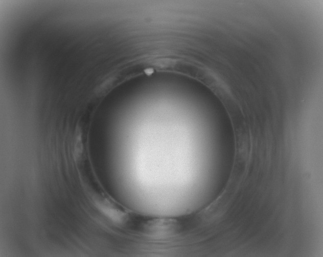 X0000083060128200702091514