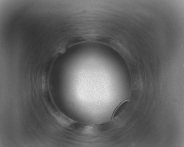 X0000083060130200702091514