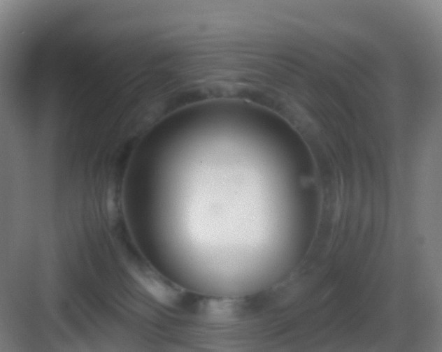 X0000083060134200702091514