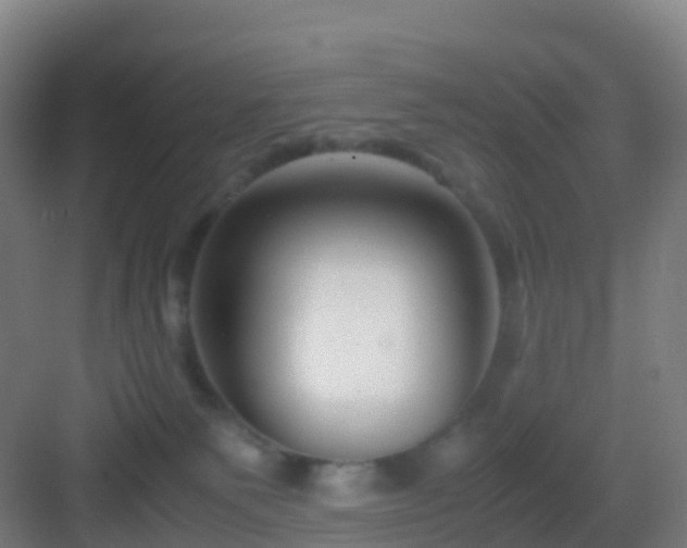 X0000083060135200702091514