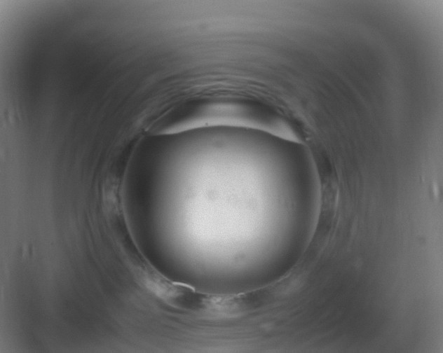 X0000083060141200702091514