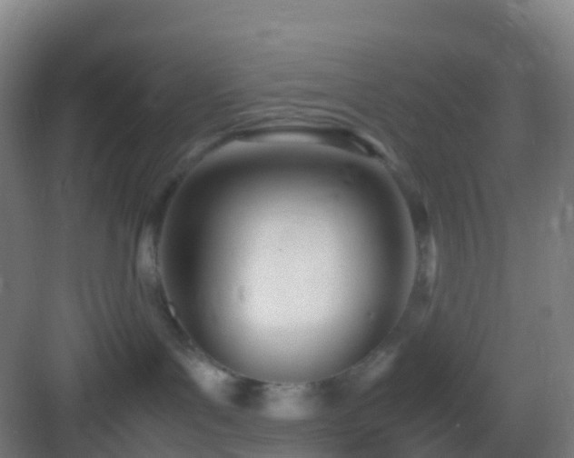 X0000083060143200702091514